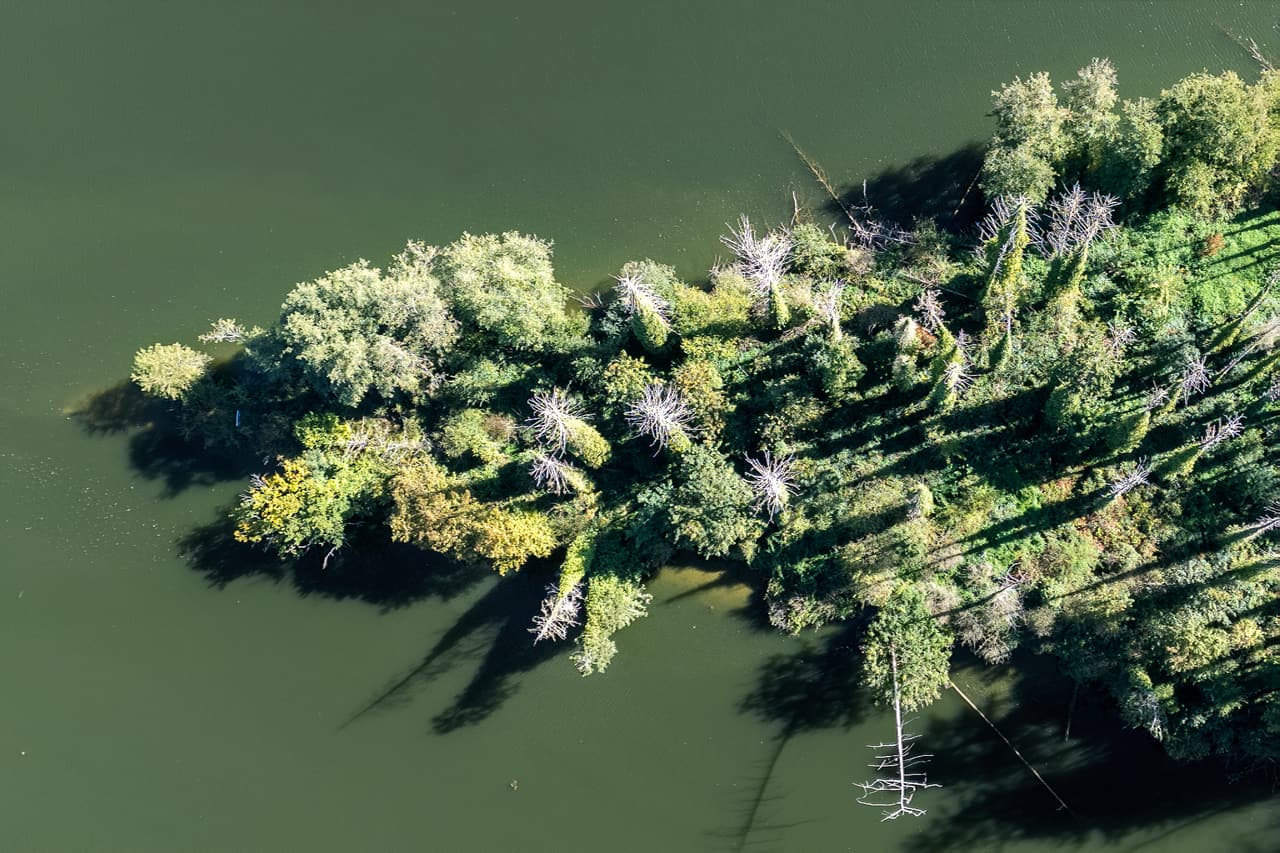 Een bebost eiland midden in de Maas, van bovenaf